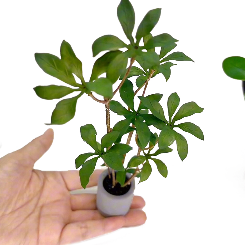Bonsai Garden Decor - 1:6 Dollhouse Miniature Potted Plants Model