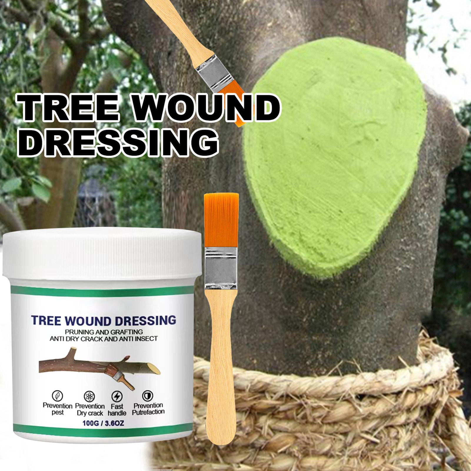 Bonsai Gardening - 100g Tree Wound Pruning Sealer Pruning
