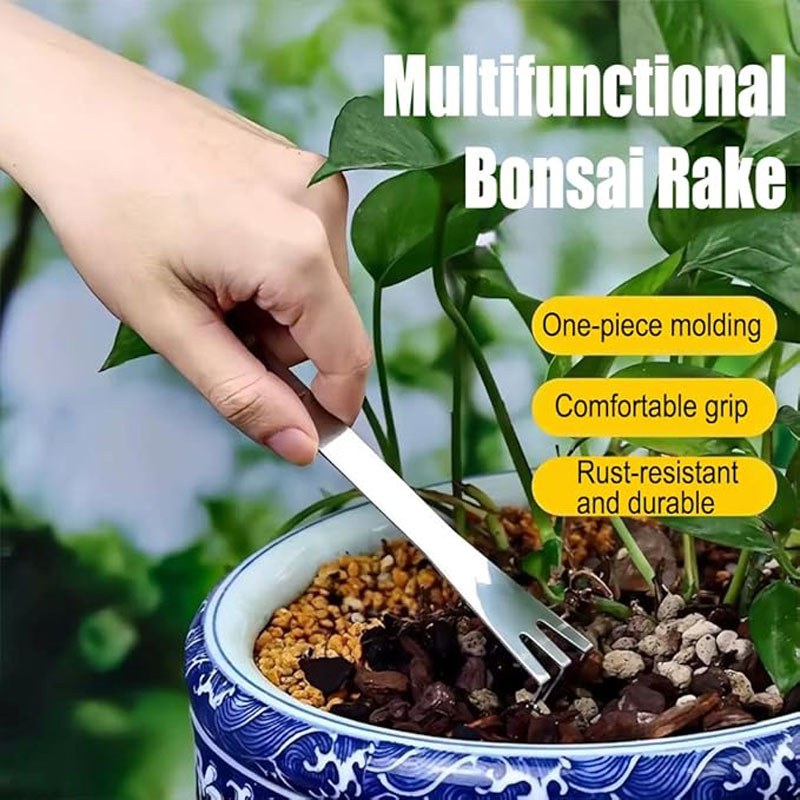Stainless Steel Root Rake Hand - đánh giá và giá Bonsai Gardenia