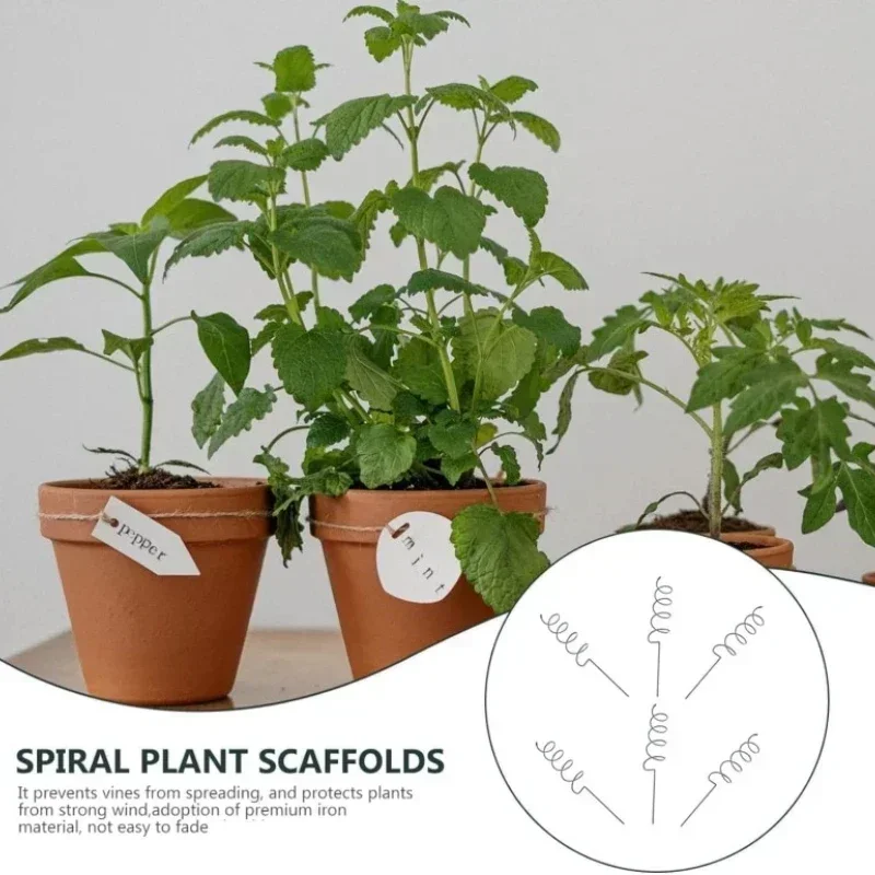 Climbing Plant Support Stake S - đánh giá và giá Bonsai Gardening