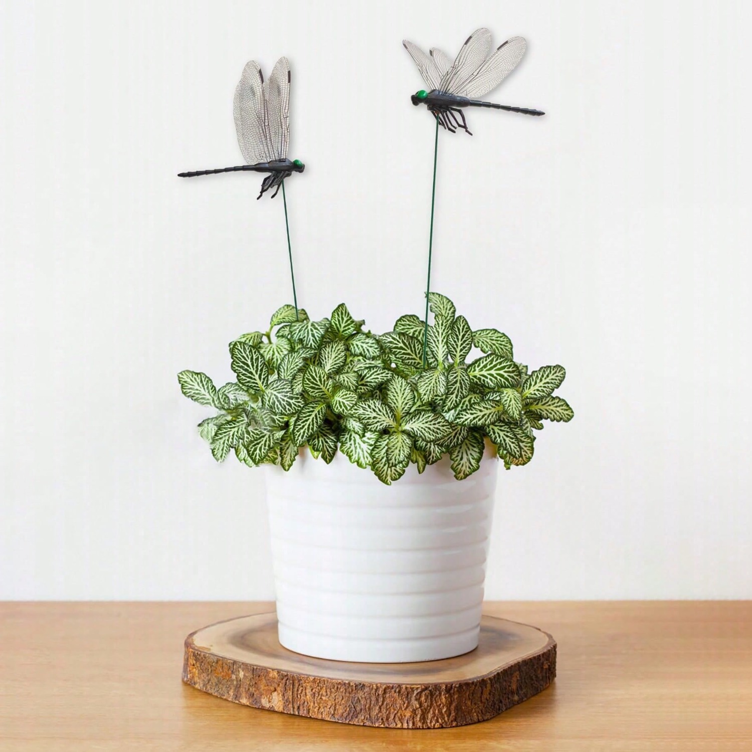 10 Pcs Dragonfly Decorative S, - đánh giá và giá Bonsai Garden Decor