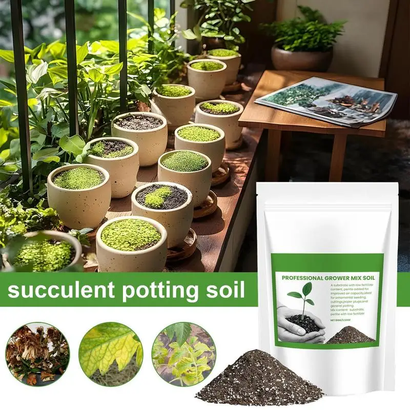 Succulent Soil Potting Mix Aer - đánh giá và giá Bonsai Gardening