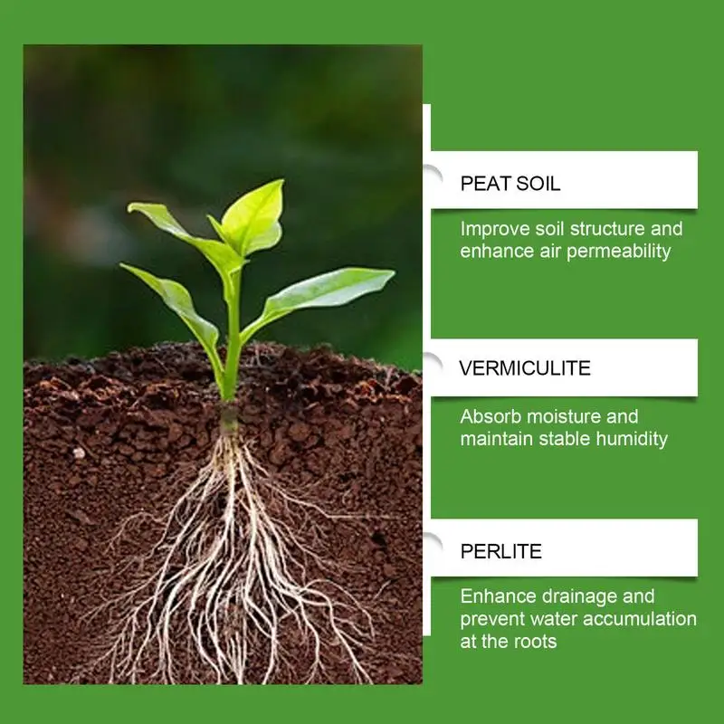 Succulent Soil Potting Mix Aer - đánh giá và giá Bonsai Gardening