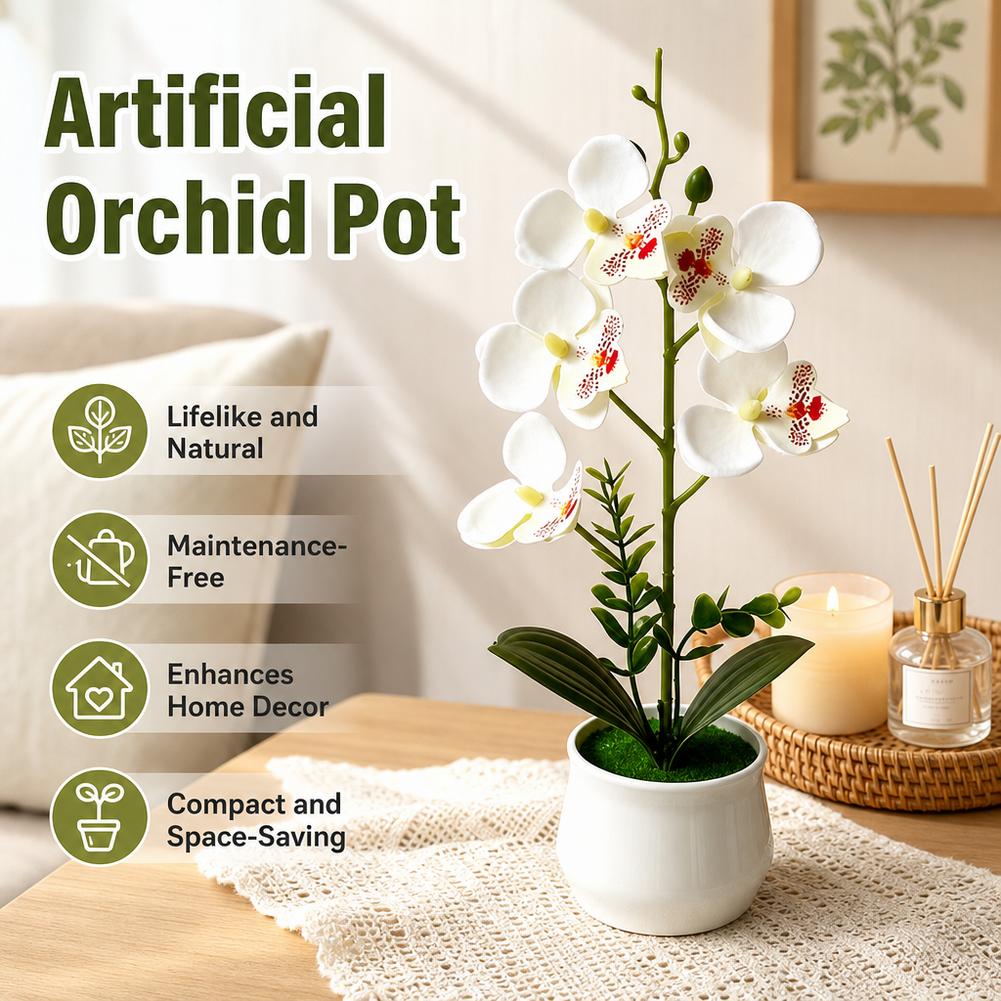 5 Flower Butterfly Orchid Simu - đánh giá và giá Bonsai Garden Layout