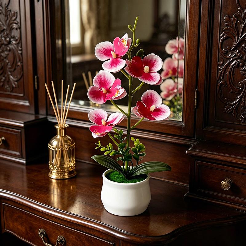 5 Flower Butterfly Orchid Simu - đánh giá và giá Bonsai Garden Layout