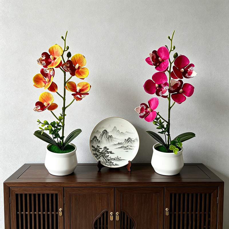 5 Flower Butterfly Orchid Simu - đánh giá và giá Bonsai Garden Layout