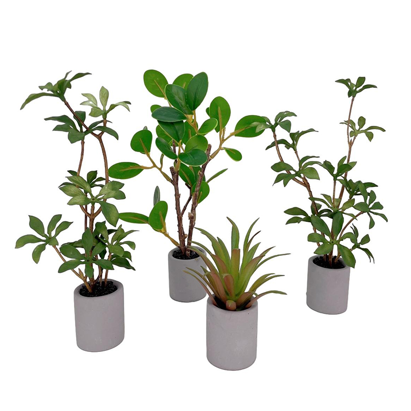1:6 Dollhouse Miniature Potted - đánh giá và giá Bonsai Gardenia