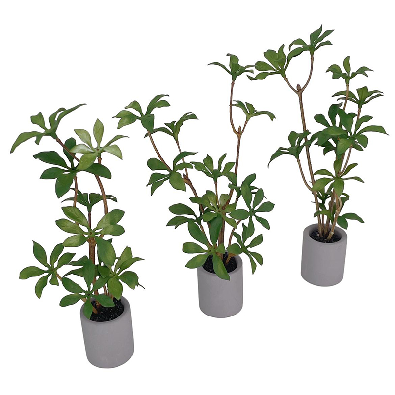 1:6 Dollhouse Miniature Potted - đánh giá và giá Bonsai Gardenia