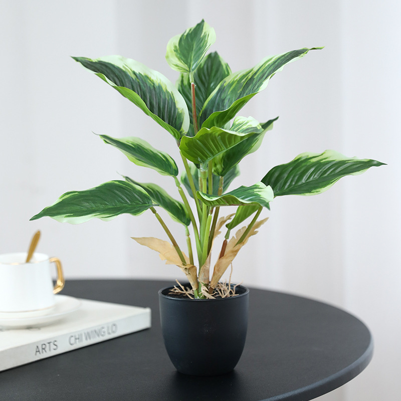 Simulation Green Plants Pothos - đánh giá và giá Bonsai Garden Layout