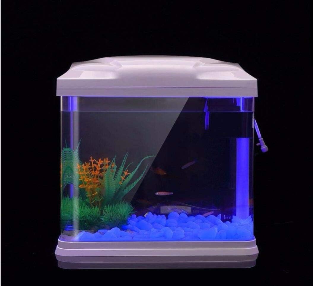 Fish Tank Rocks Glow Blue Pebb - đánh giá và giá Bonsai Gardenia
