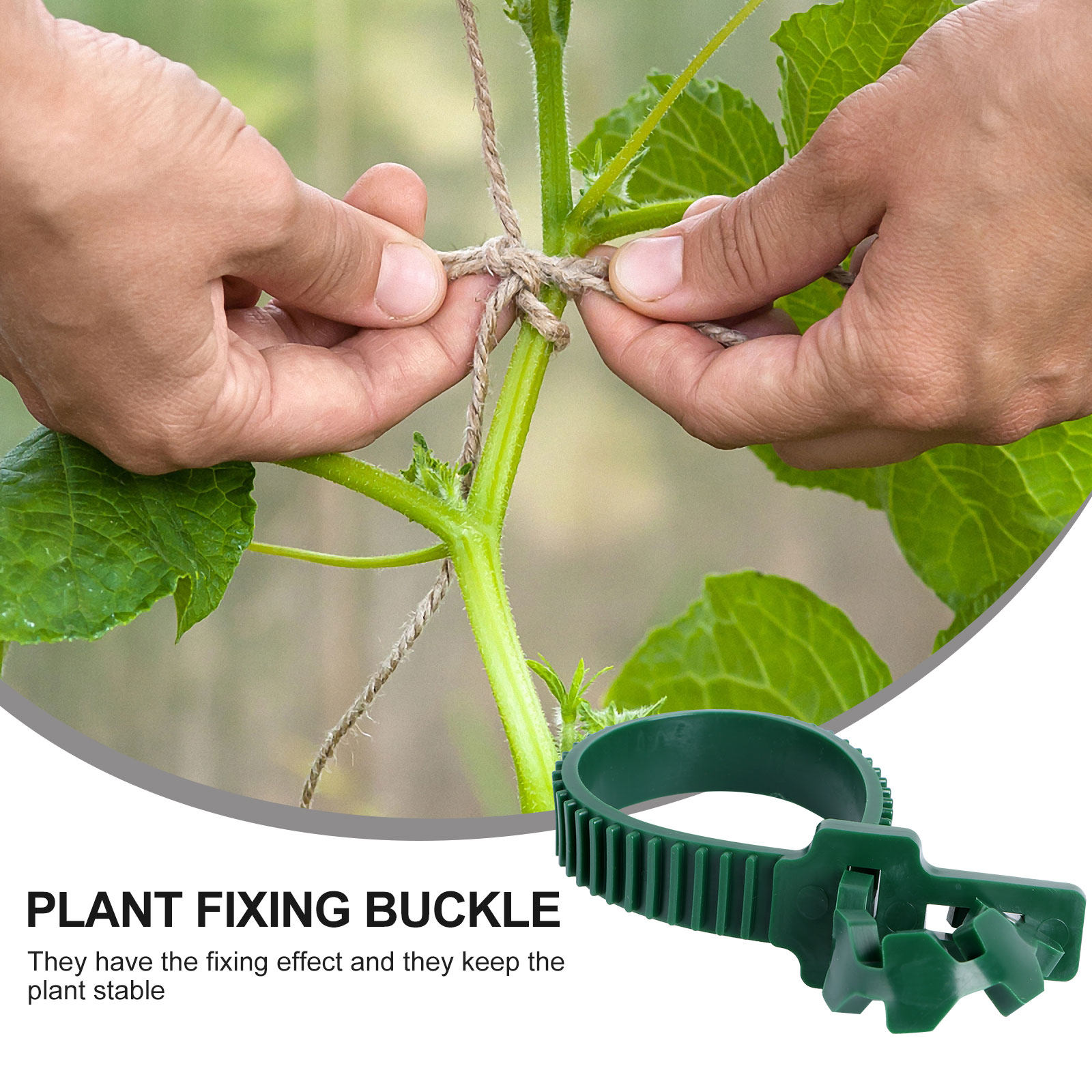 20Pcs Vine Fixing Buckle Garde - đánh giá và giá Bonsai Gardening