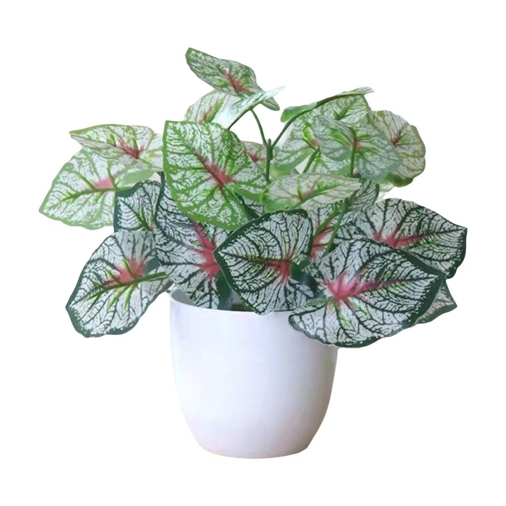 Mini Fake Potted Flowers Bonsa - đánh giá và giá Bonsai Gardenia