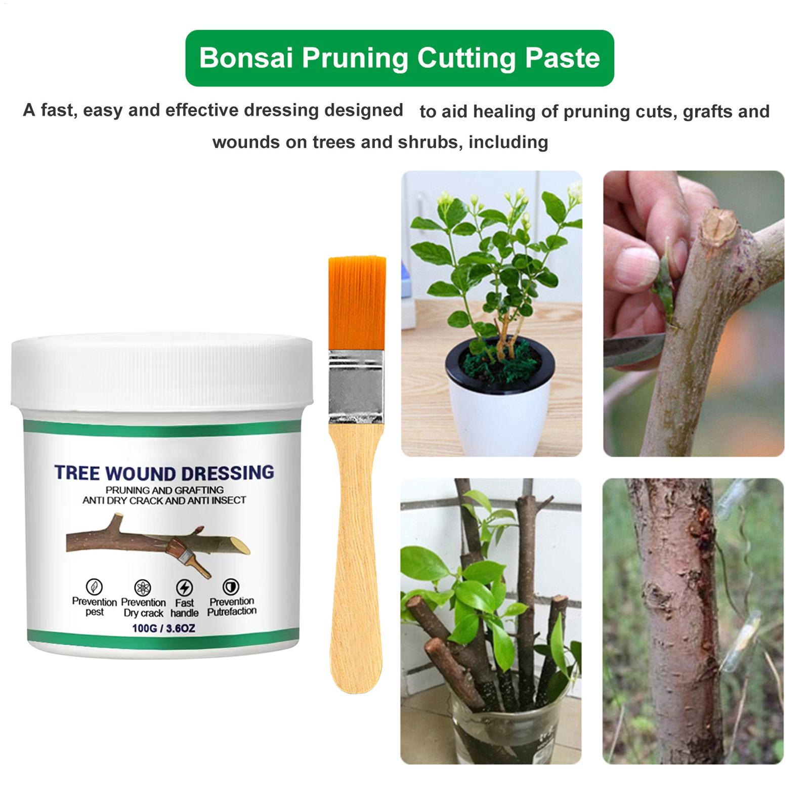 100g Tree Wound Pruning Sealer - đánh giá và giá Bonsai Gardening