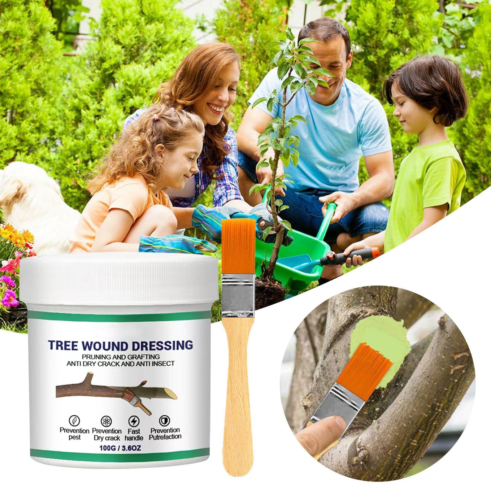 100g Tree Wound Pruning Sealer - đánh giá và giá Bonsai Gardening